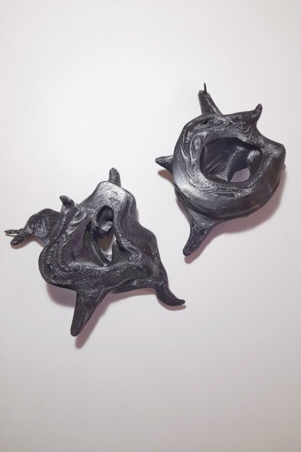 Jiří Charvát, Objekty (ze série Mutualismy), vyvolávací cena 200,-